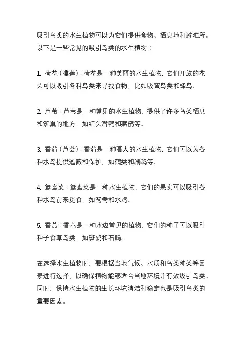 吸引鸟类的水生植物？