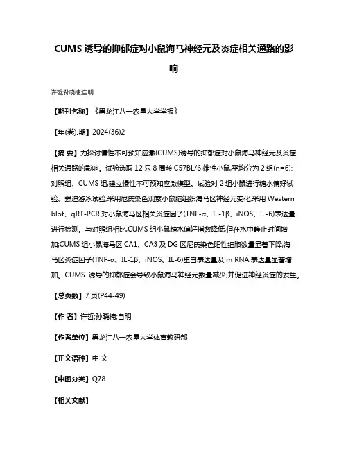 CUMS诱导的抑郁症对小鼠海马神经元及炎症相关通路的影响