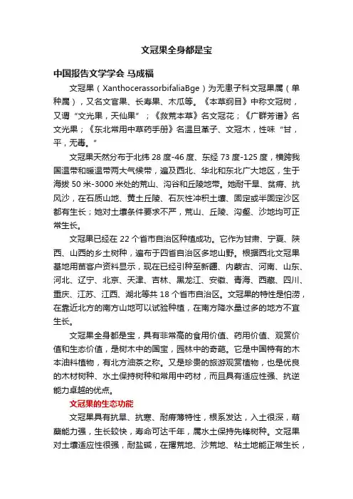 文冠果全身都是宝