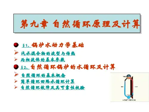 第九章 自然循环原理及计算