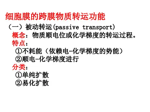 细胞膜的跨膜物质转运功能