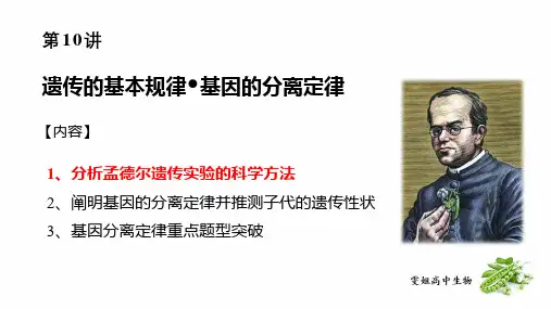 高三生物一轮复习基因的分离定律