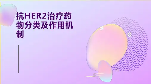 抗HER2治疗药物分类及作用机制PPT