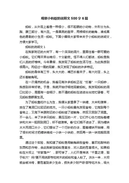 观察小蚂蚁的说明文500字6篇