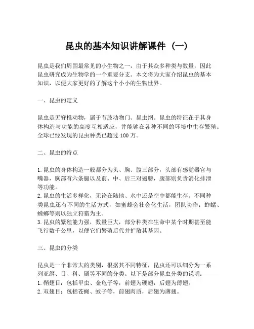 昆虫的基本知识讲解课件 (一)