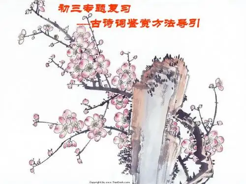中考专题复习——古诗词鉴赏方法导引PPT优秀课件