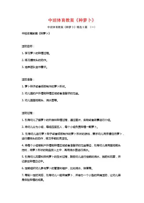 中班体育教案《种萝卜》5篇