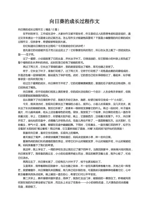 向日葵的成长过程作文（精选12篇）