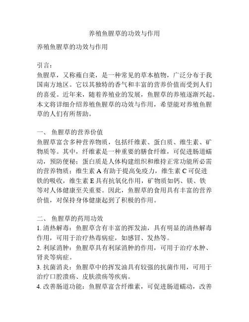 养殖鱼腥草的功效与作用