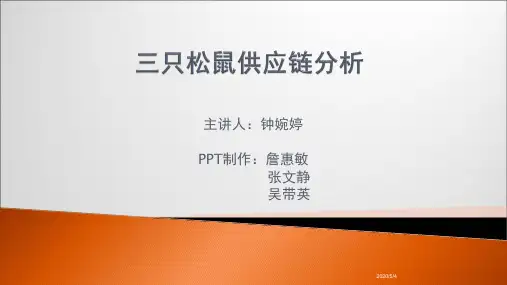 “三只松鼠”供应链分析简约版
