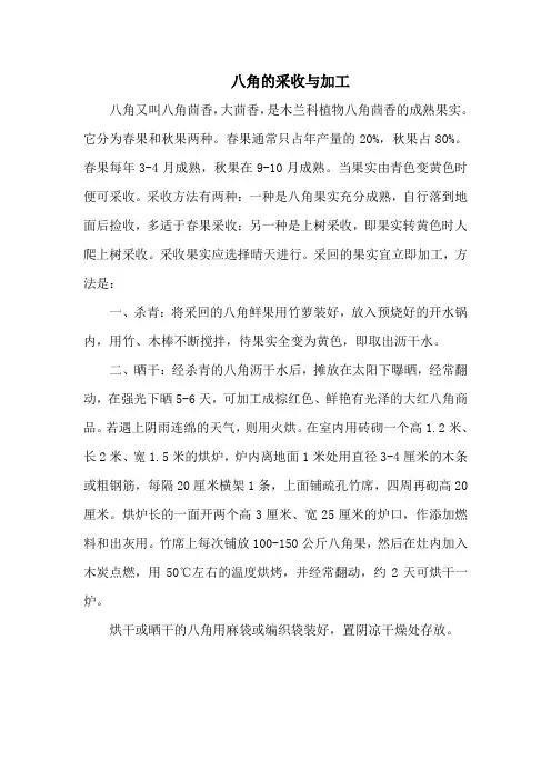 八角的采收与加工