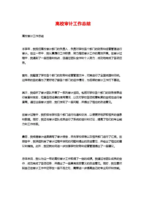 高校审计工作总结