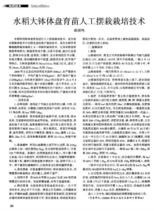 水稻大钵体盘育苗人工摆栽栽培技术