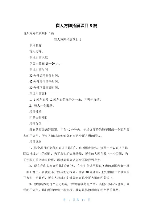 盲人方阵拓展项目5篇