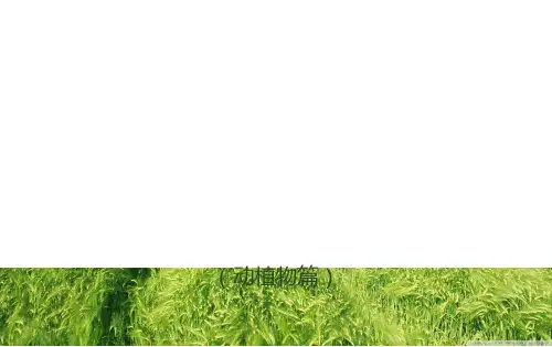 百科常识(动植物)