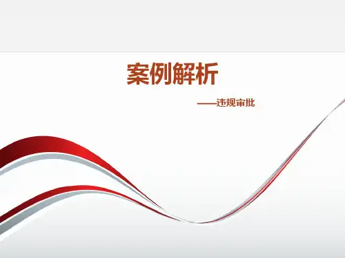 法规案例解析—违规审批