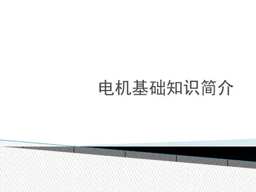 电机基础知识培训资料.精品文档59页