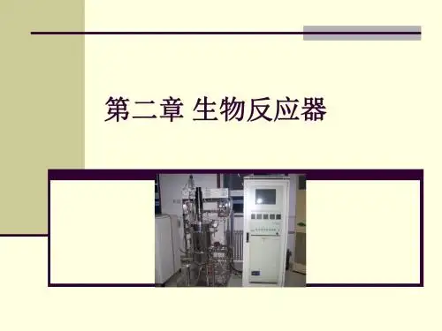 生物反应器