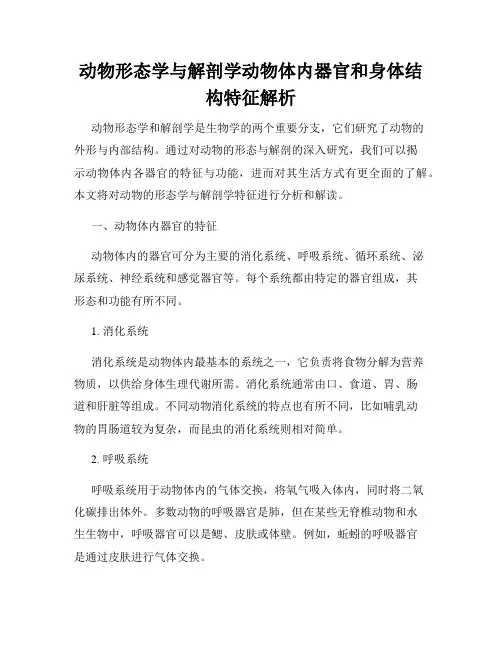 动物形态学与解剖学动物体内器官和身体结构特征解析