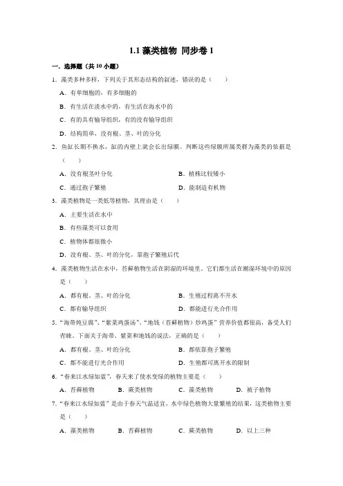 鲁科五四制版生物六年级下册藻类植物