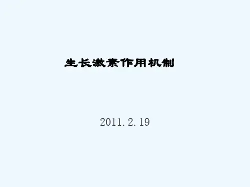 生长激素作用机制ppt课件