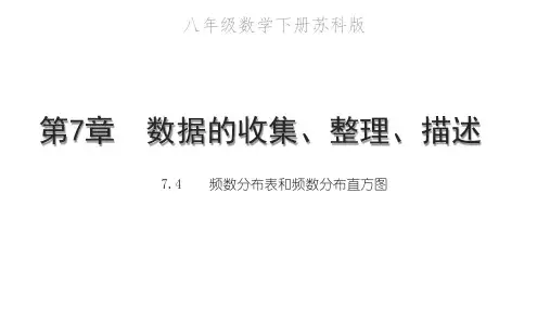 频数分布表和频数分布直方图PPT课件