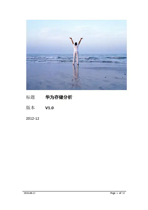 华为存储分析V1.0