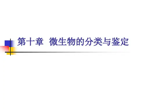 第十章  微生物的分类与鉴定