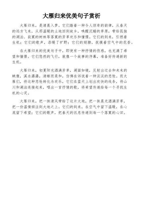 大雁归来优美句子赏析