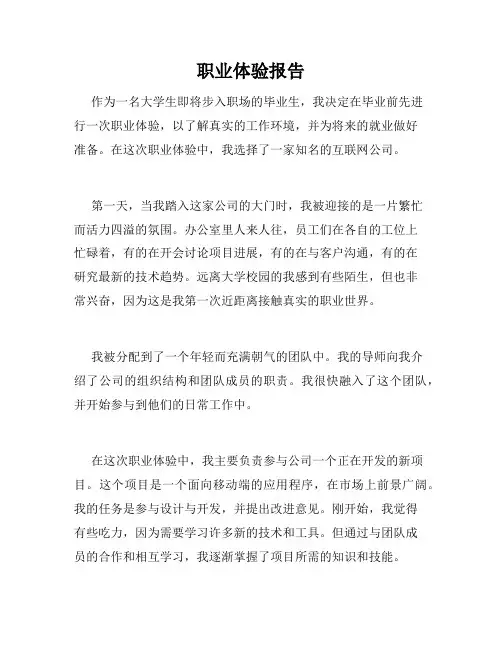职业体验报告