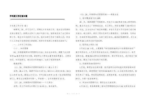 半年度工作计划9篇
