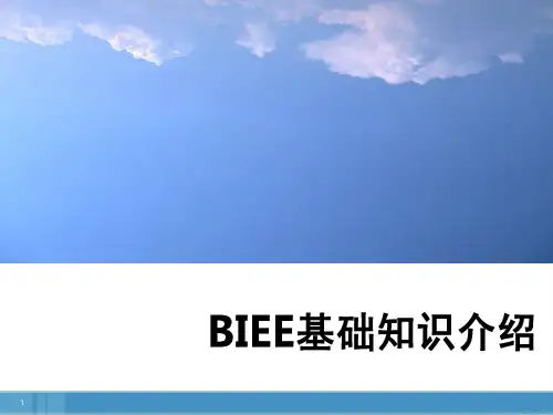 BIEE基础知识介绍