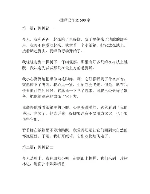 捉蝉记作文500字