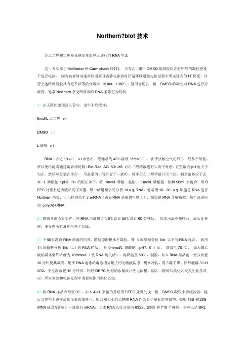 Northern杂交技术