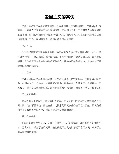 爱国主义的案例