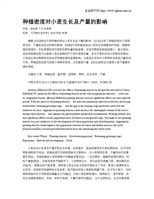 种植密度对小麦生长及产量的影响