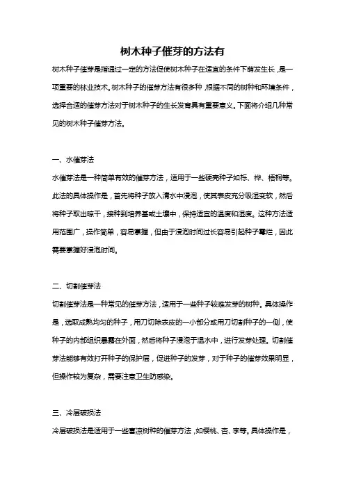 树木种子催芽的方法有