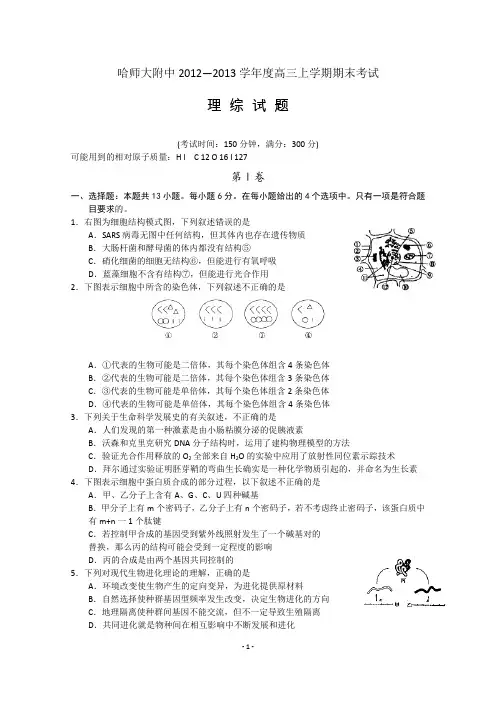 黑龙江哈尔滨师大附中12-13学年度高三上学期期末考试理综试题