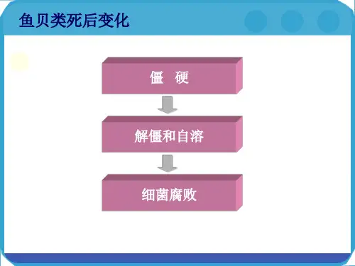 水产原料鲜度鉴别