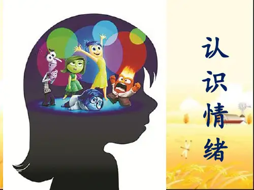 认识情绪 PPT