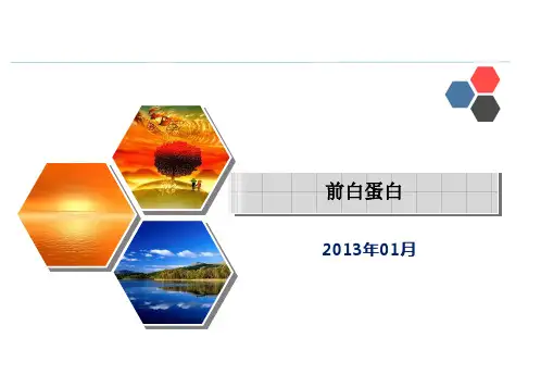 前白蛋白