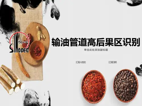 中石化输油管道高后果区识别
