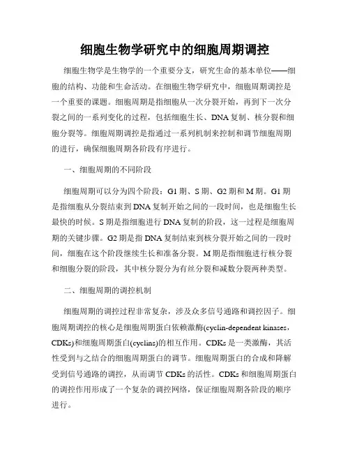 细胞生物学研究中的细胞周期调控