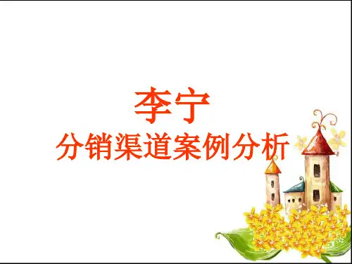 李宁分销渠道分析