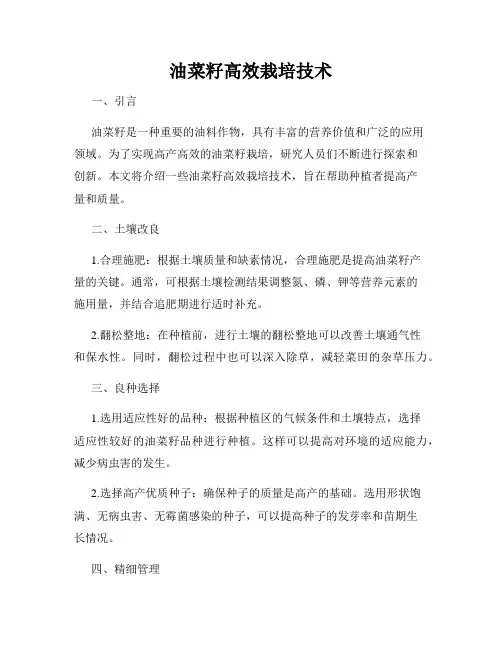 油菜籽高效栽培技术
