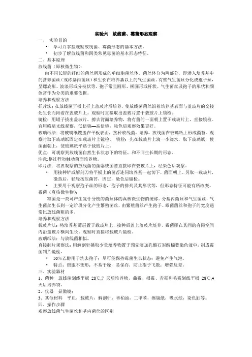 实验六 放线菌、霉菌形态观察