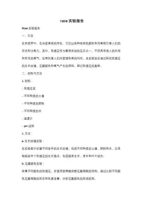 rose实验报告