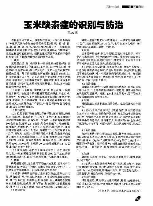 玉米缺素症的识别与防治