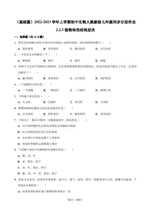 (基础篇)2022-2023学年上学期初中生物人教新版七年级同步分层作业2.2.3植物体的结构层次