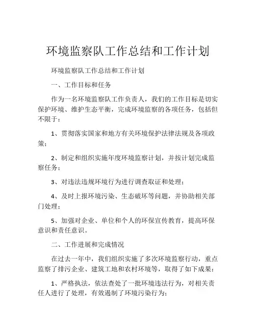 环境监察队工作总结和工作计划